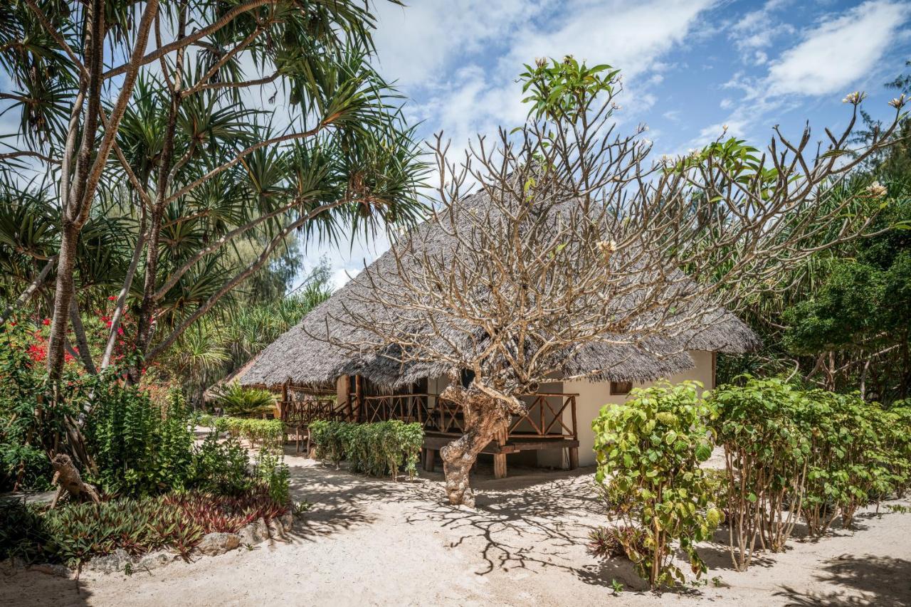 Resort Hakuna Majiwe Paje